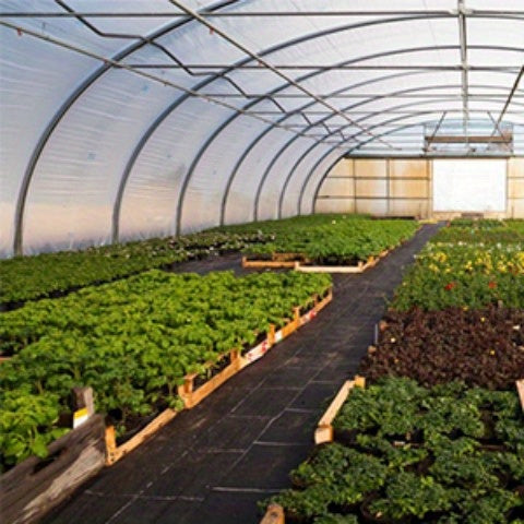 Premium Black Weed Barrier Landscape Fabric - Heavy Duty Woven Ground Cloth