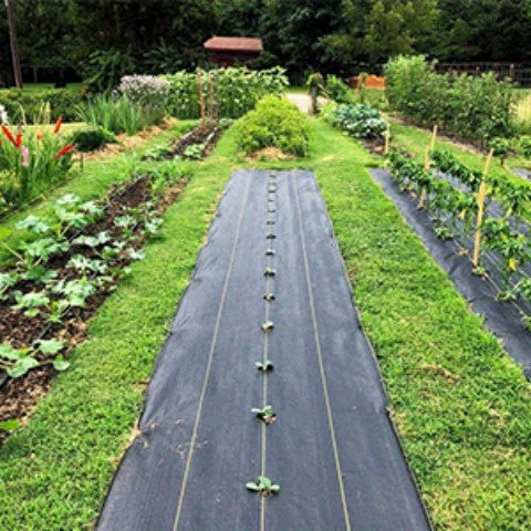 Premium Black Weed Barrier Landscape Fabric - Heavy Duty Woven Ground Cloth