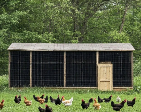 Hardware Cloth 1/2 inch, Chicken Wire Mesh Rol 24'' x 50' 19 Gauge - Black Vinyl Coated Wire Fence Roll, Welded Wire Fencing